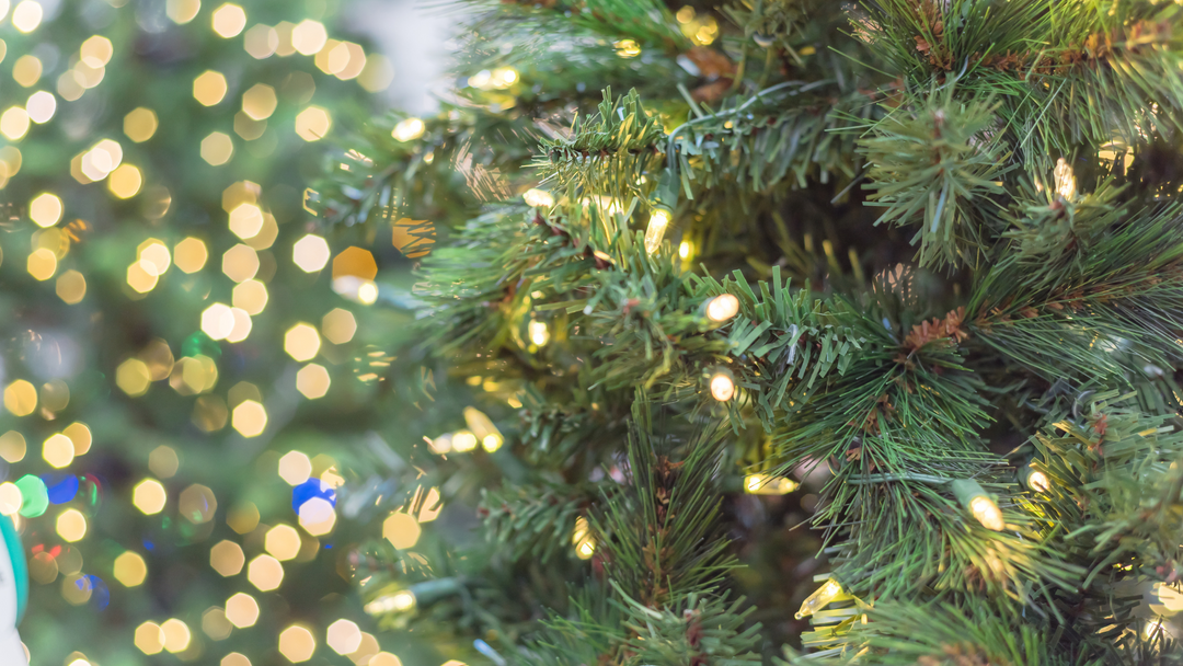 close up of pre-lit artificial christmas tree with blurred tree in background