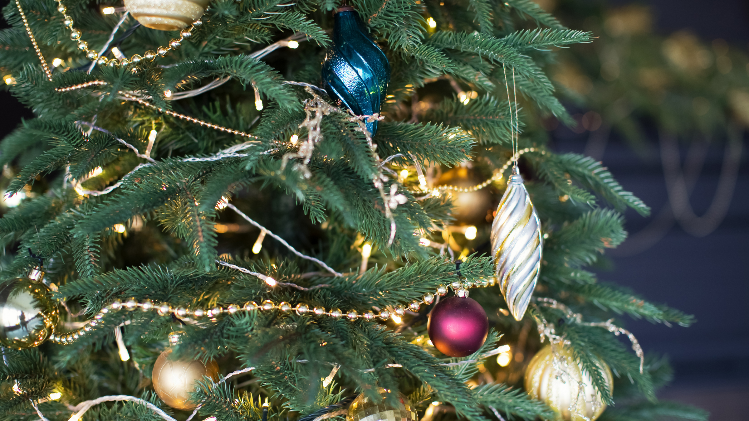 close up of christmas tree decorated with fairy lights