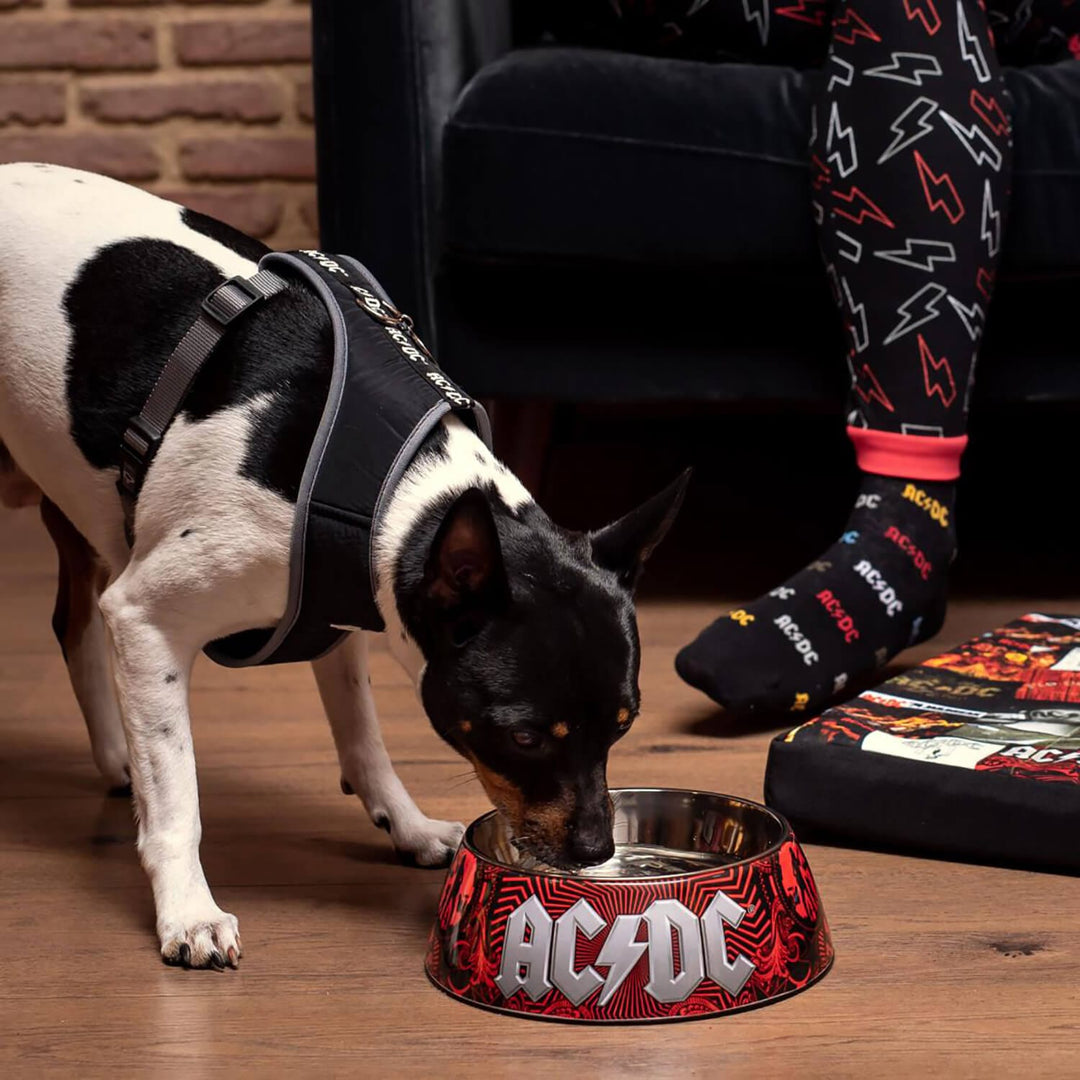 AC/DC Dog Bowl Removable Dish Food Water Non-Slip Red Black