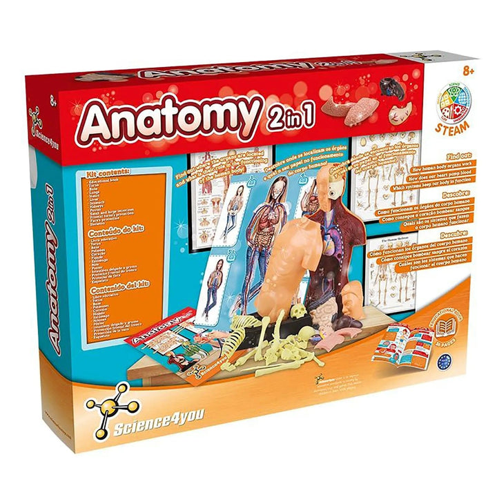 Back of the box of Science4you Anatomy 2 in 1 learning kit