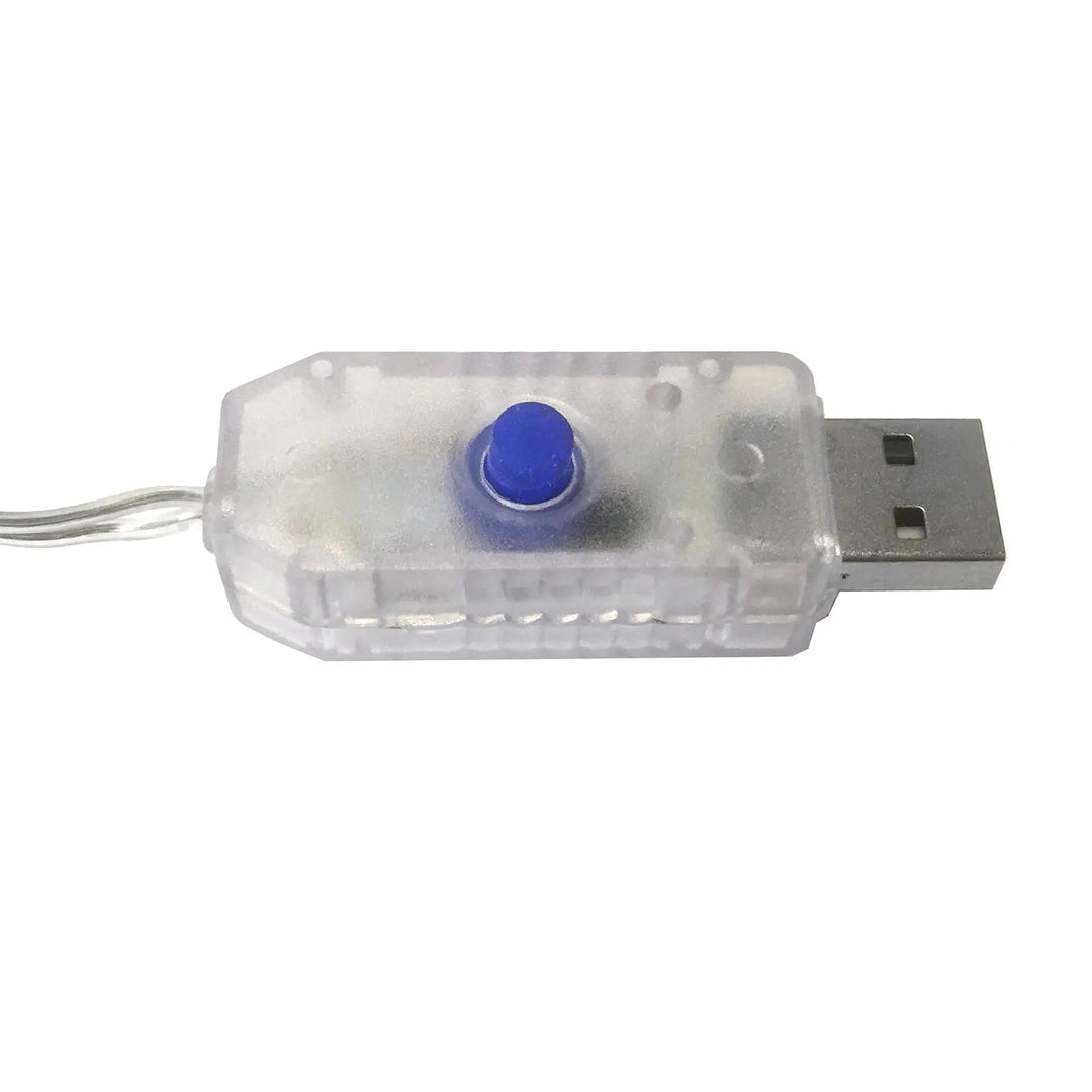 USB plug with blue button to control the LED lights