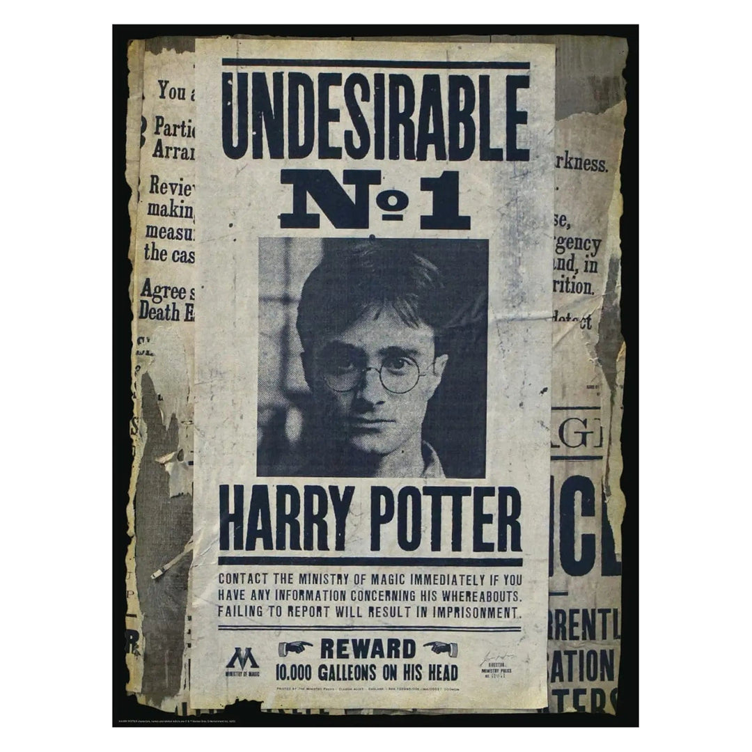 Wanted poster for Harry Potter from the Ministry of magic