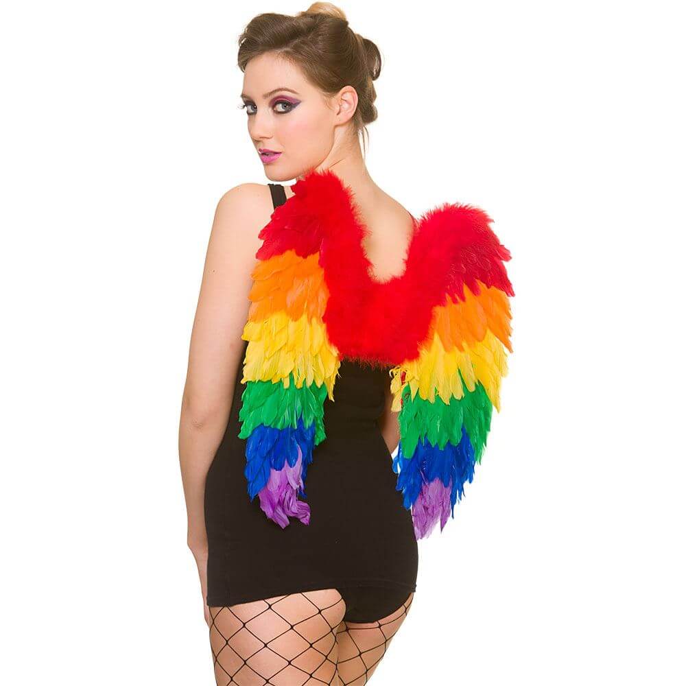 Adults Rainbow Feather Wings Fairy Pride Festival 50cm