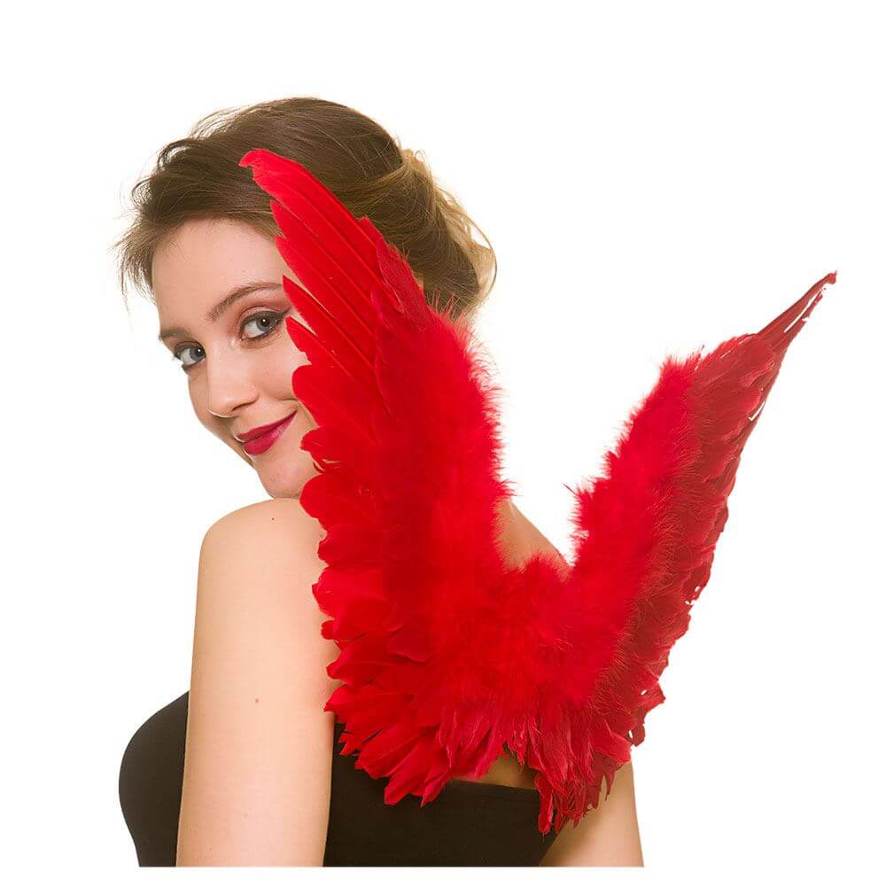 Adults Feather Wings Angel Fairy Devil Fancy Dress 60cm