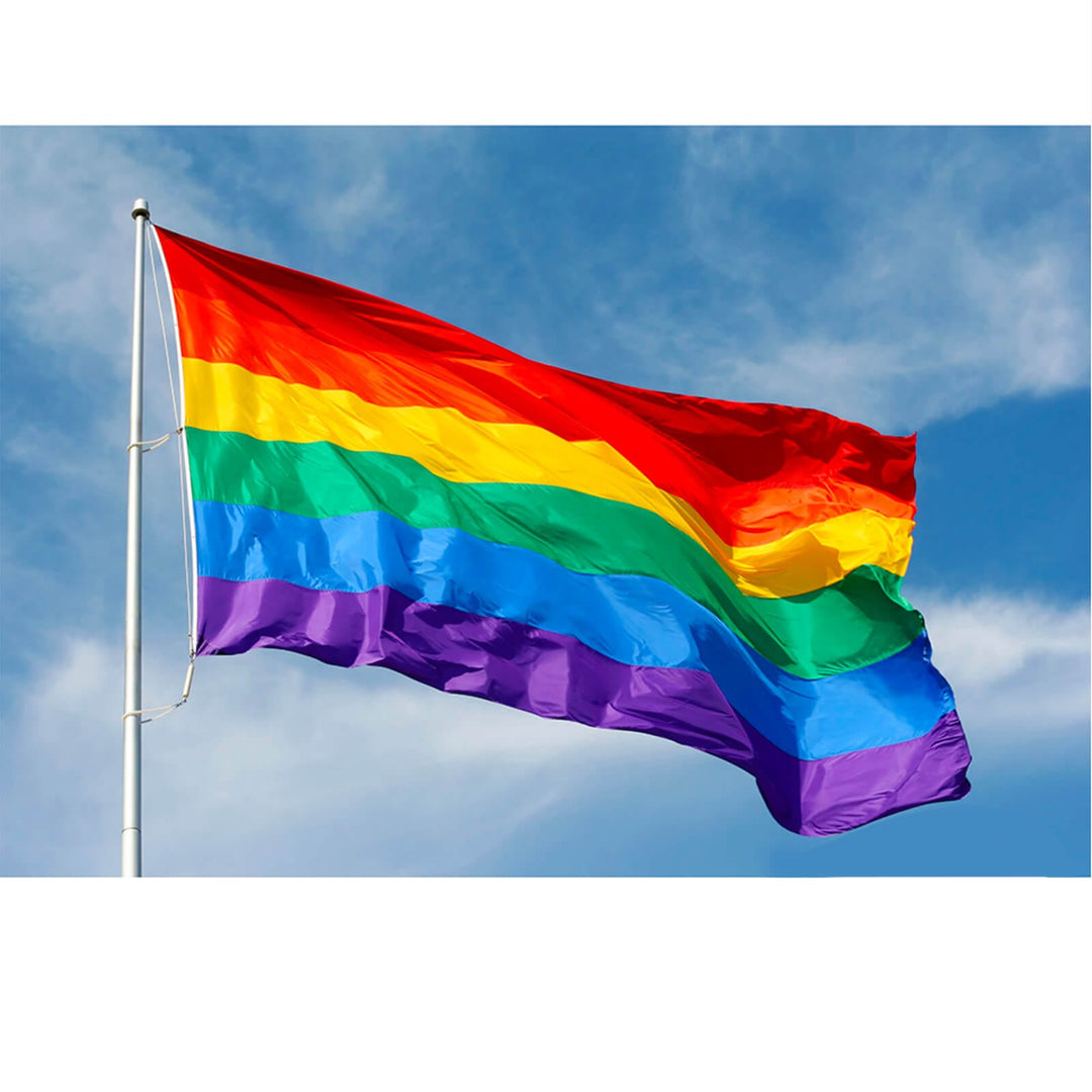 Large Rainbow Flag Festival Pride Carnival 150x90cm