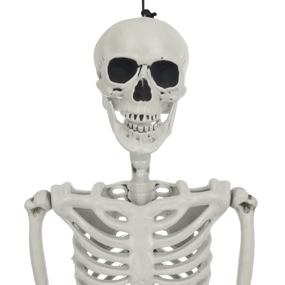 close up skeleton head with black eye and nose sockets for realistic style