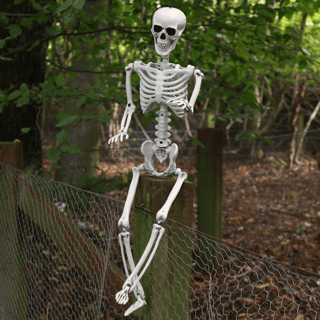 poseable skeleton sitting on fence post in creepy forest setting