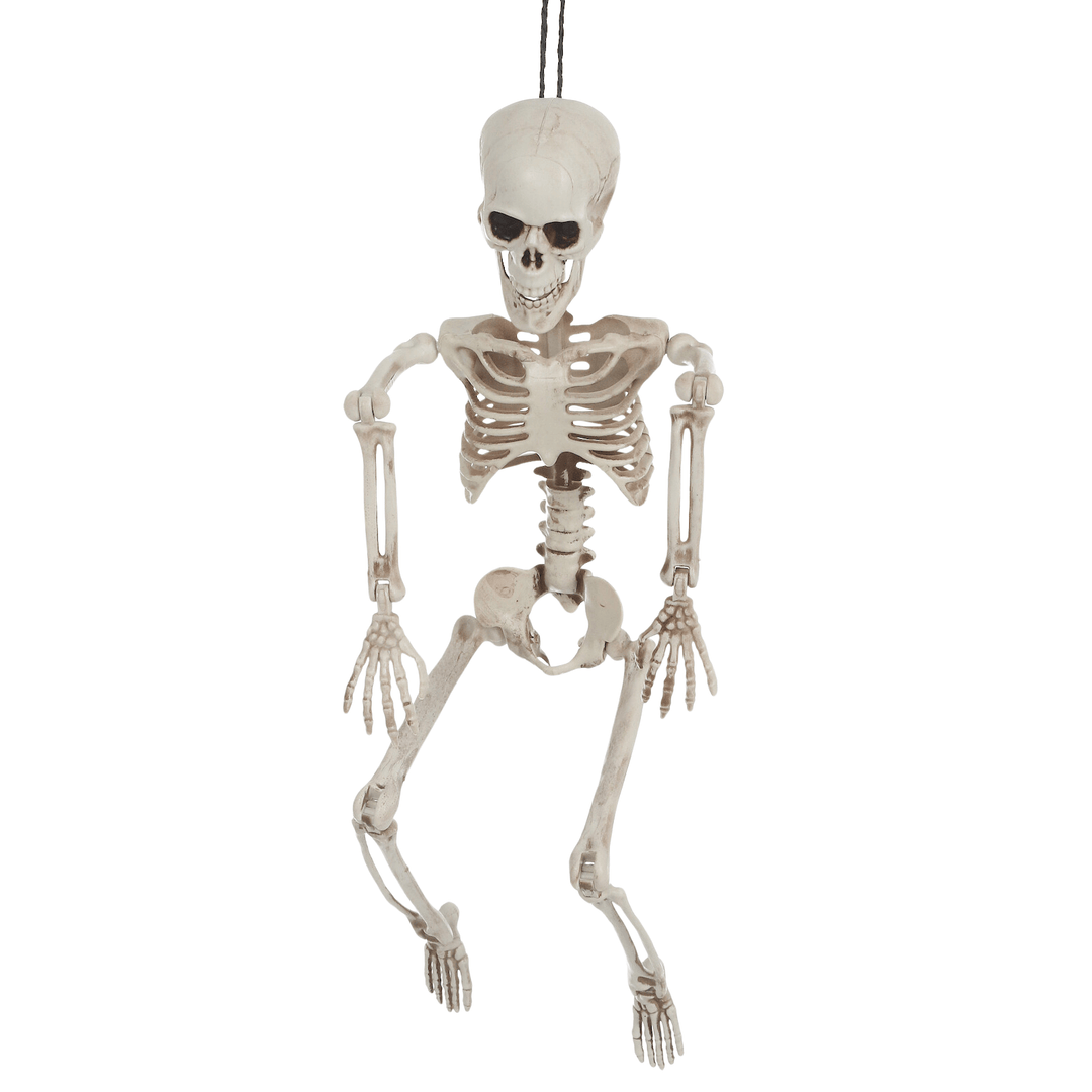 84cm skeleton posed with joints on arms and legs bent