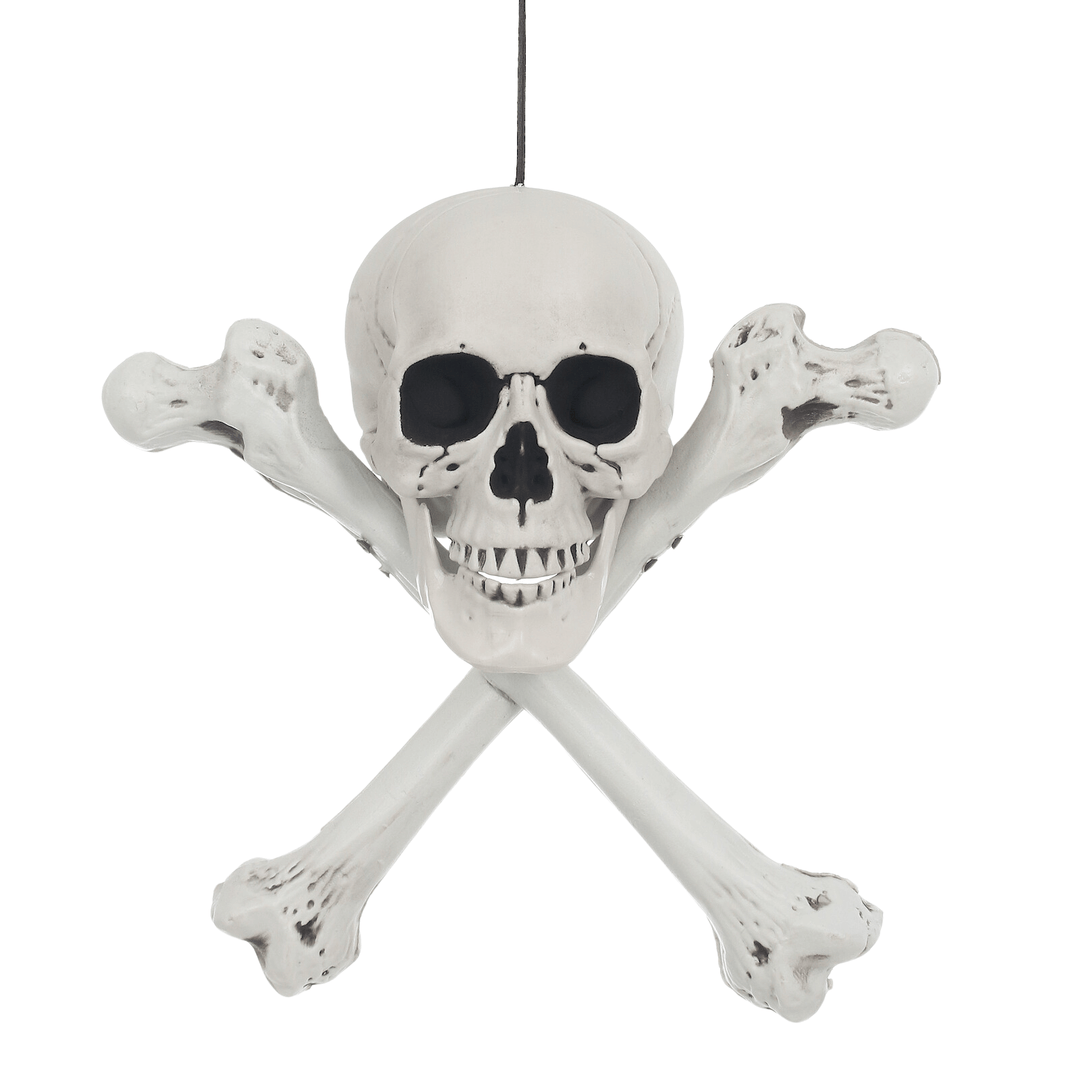 hanging skull and crossbones on white background