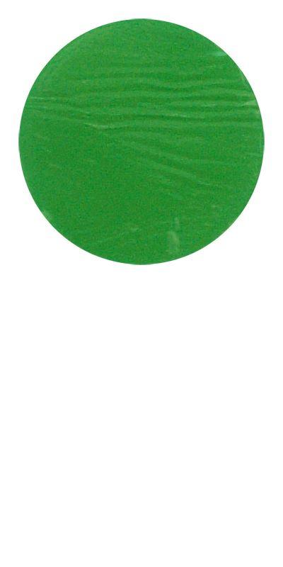 Snazaroo Classic Range Of Face & Body Paint Halloween Bright Green