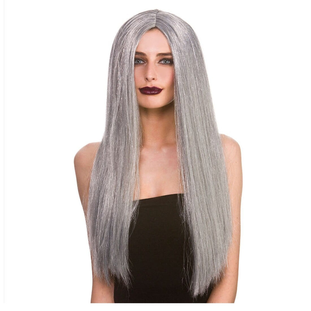 Classic Long Wig Straight Hair Fancy Dress Halloween Witch Grey