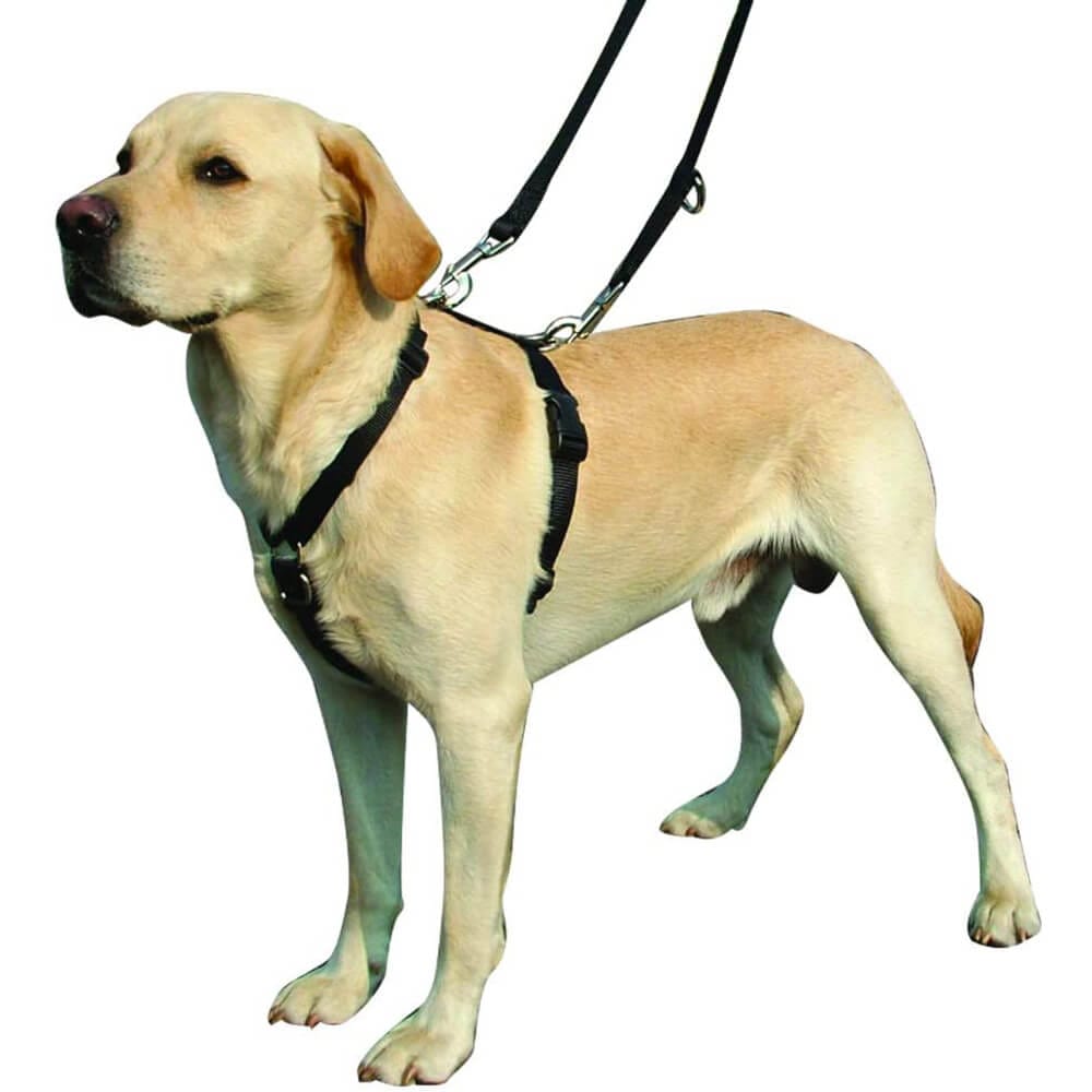 Kumfi Complete Control Harness For Dogs Safety Restraint