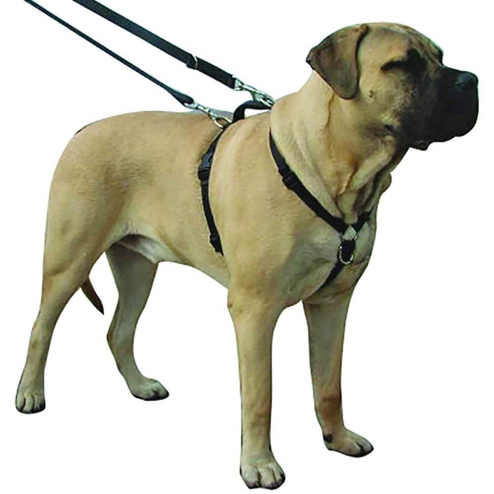 Kumfi Complete Control Harness For Dogs Safety Restraint