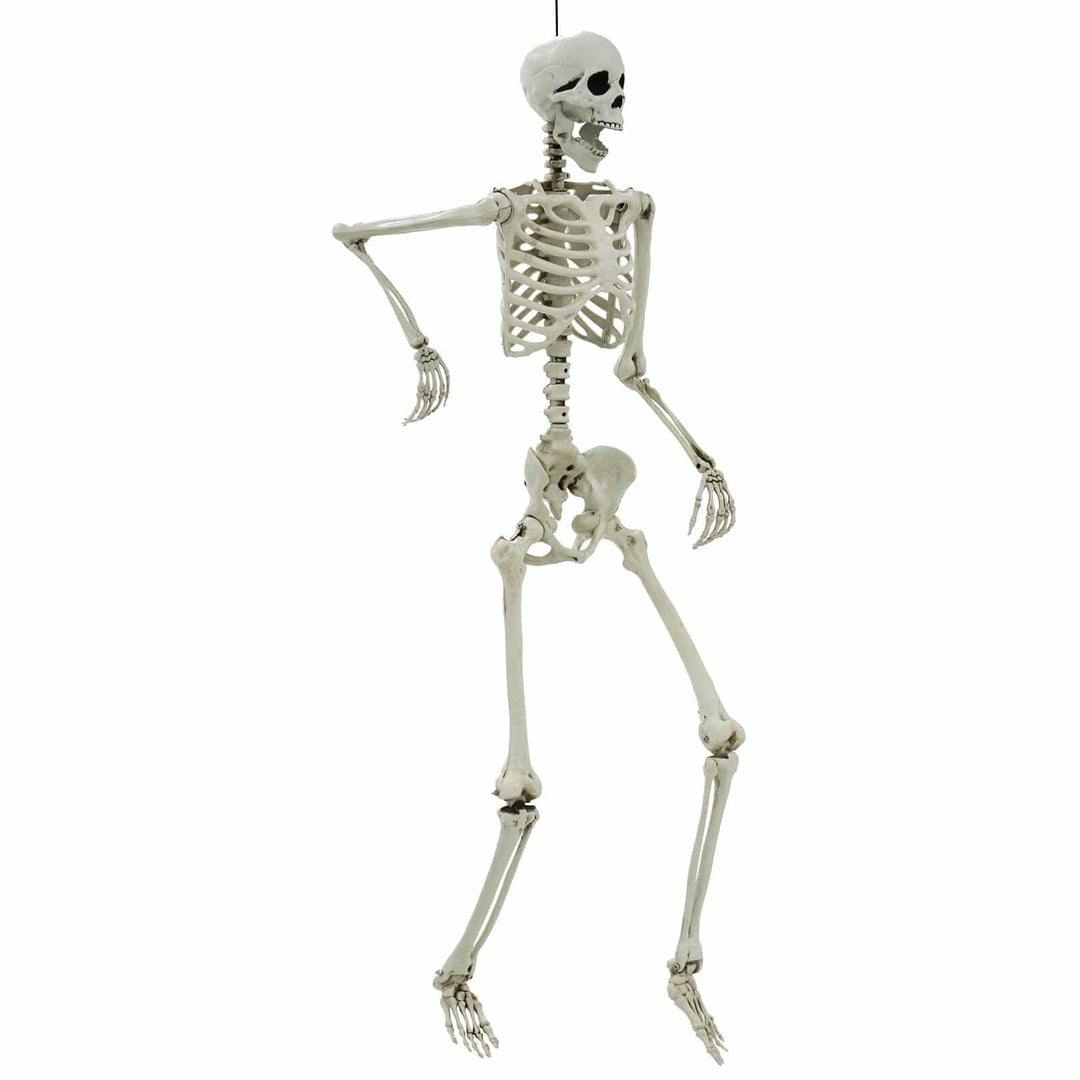 Life Size Poseable Skeleton Halloween Decoration Party Prop 152cm